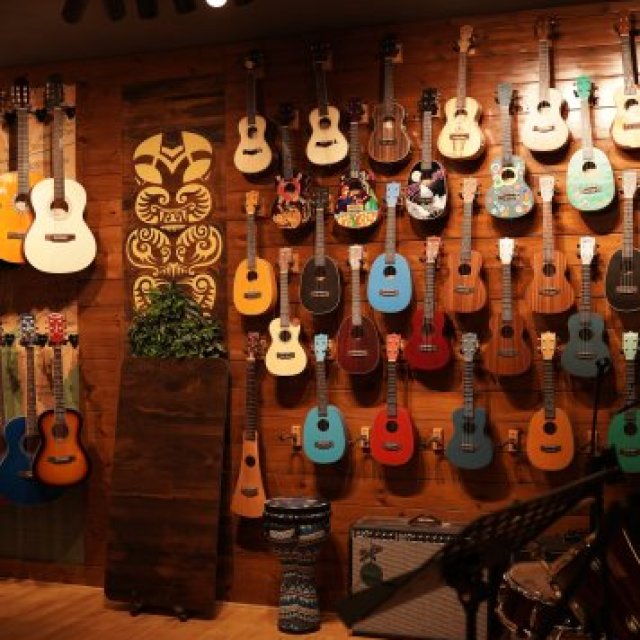 Kadence Xperience Store Guitars & Ukuleles | Jayanagar