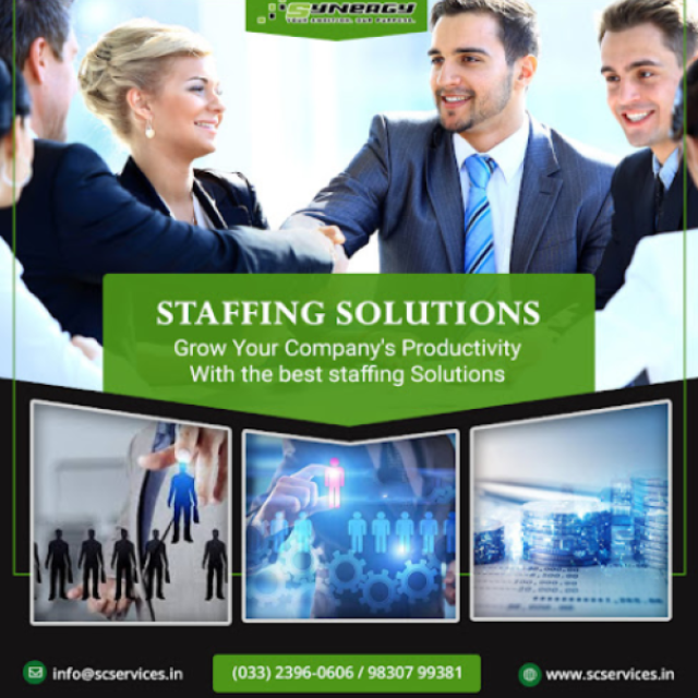 Synergy Staffing & Consultancy Services Pvt. Ltd.