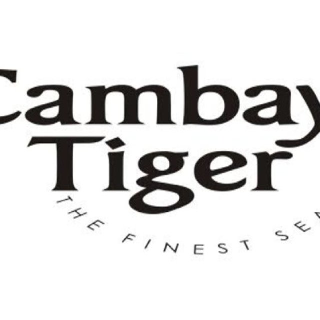 Cambay Tiger