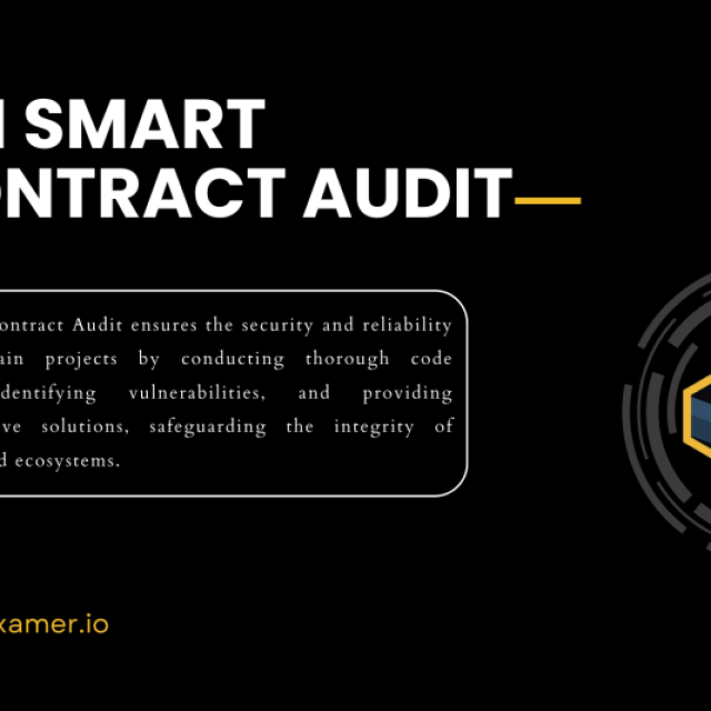 Sui Smart Contract Audit