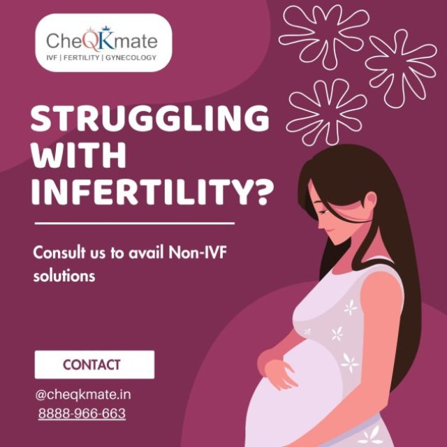 Dr. Seema Jain - Infertility Specialist and Gynecologist - CheQKmate, IVF | Fertility | Gynecology In Pcmc Pune