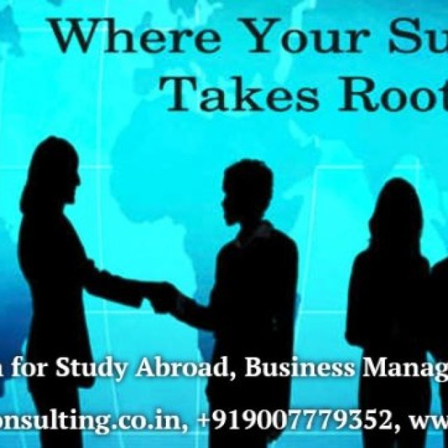 Delta Consulting - Study Abroad, Business Management