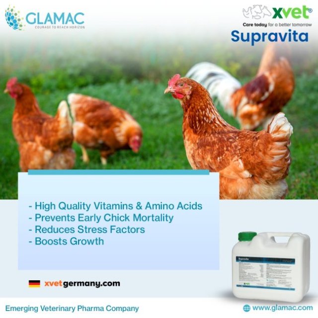 The Best Poultry Feed additive Company in India: Glamac International