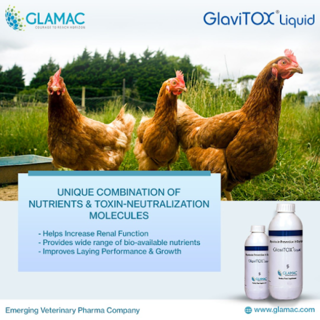 The Best Poultry Feed additive Company in India: Glamac International