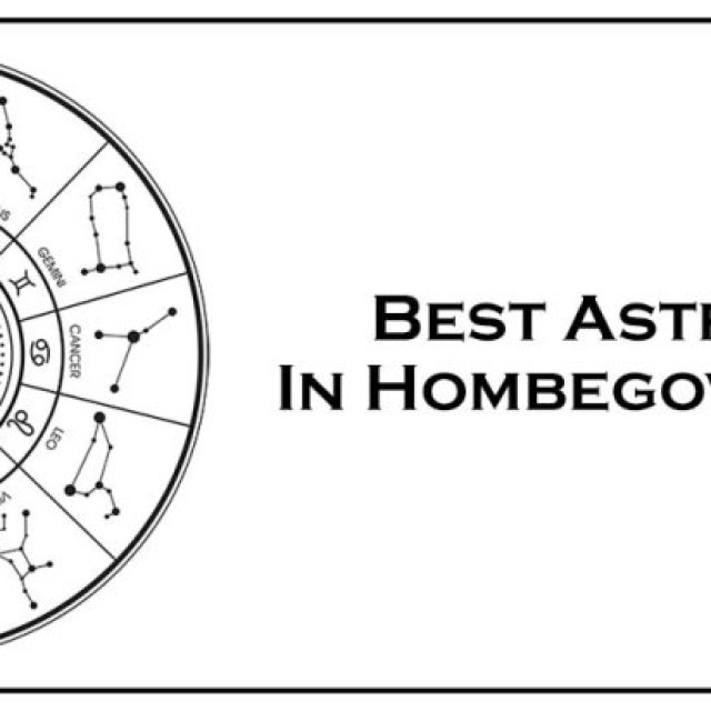 Best Astrologer in Hombegowda Nagar