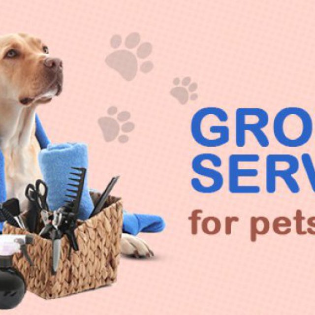 Grooming Services For Pets in Gurgaon | CGS Hospital