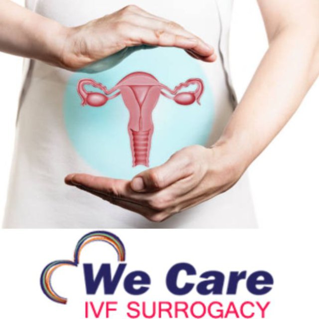 We Care Ivf Surrogacy