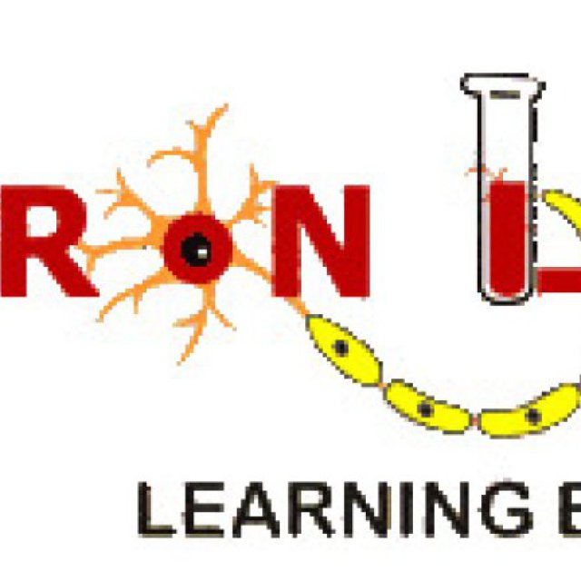 Neuron Labs school