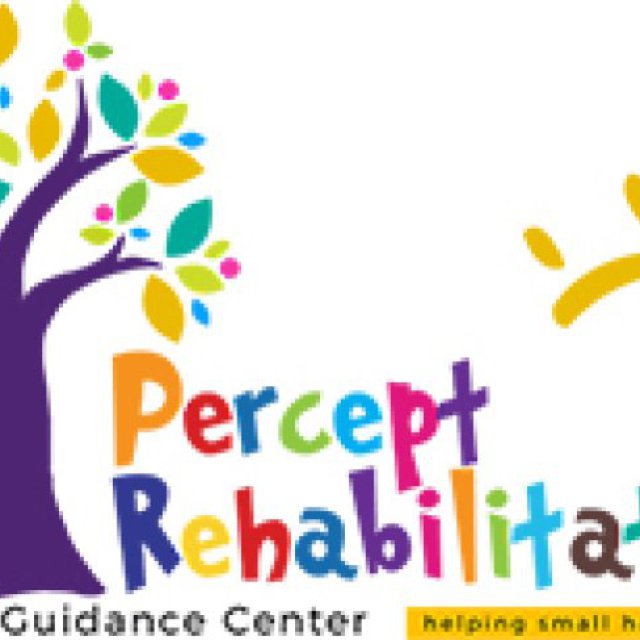 Percept Rehabilitation Center - Occupational Therapy Service