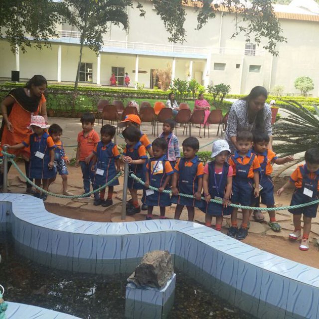 Sanford Wings International Preschool in Indiranagar