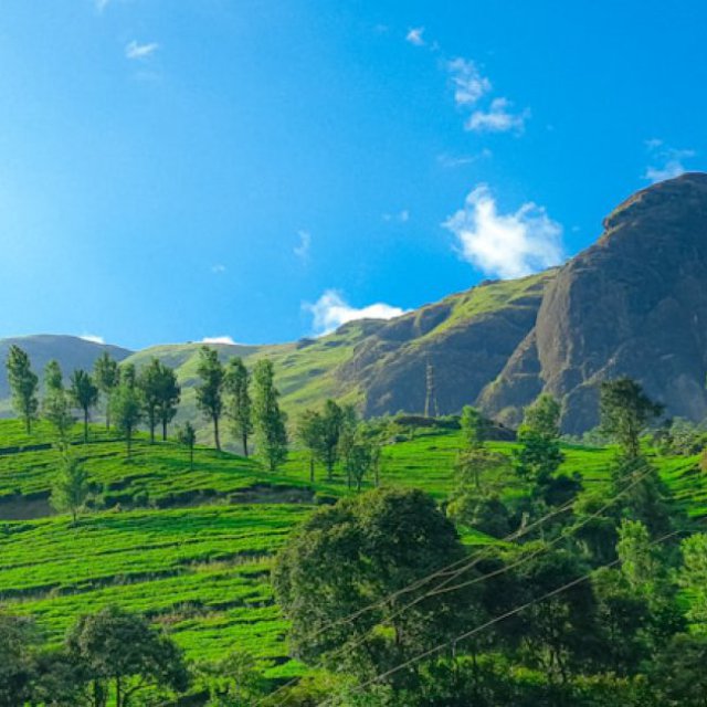 Kerala tour packages from bangalore