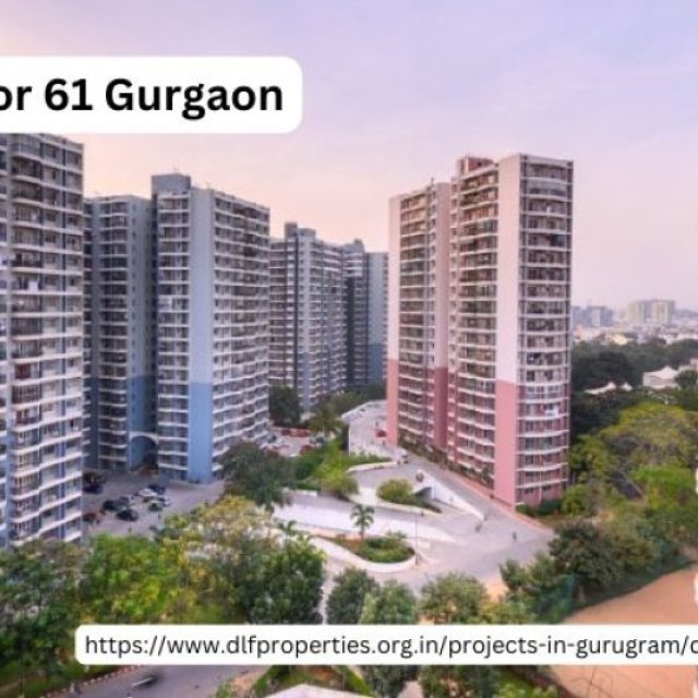 DLF Sector 61 Gurgaon