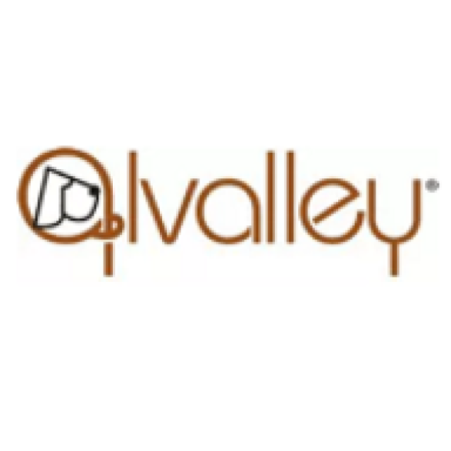 Alvalley LLC