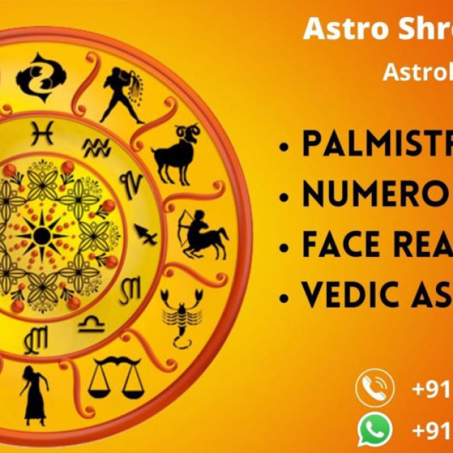 Astro Shree Somok - Best Astrologer in Kolkata