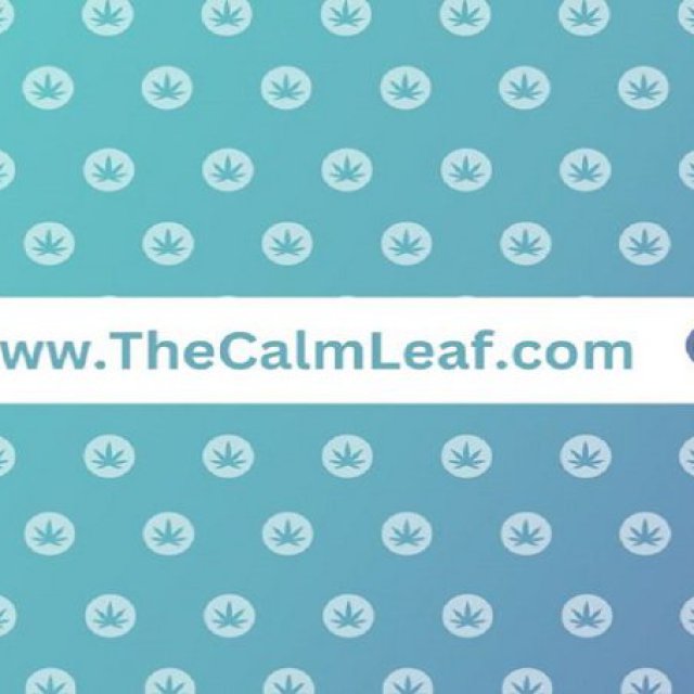 The Calm Leaf