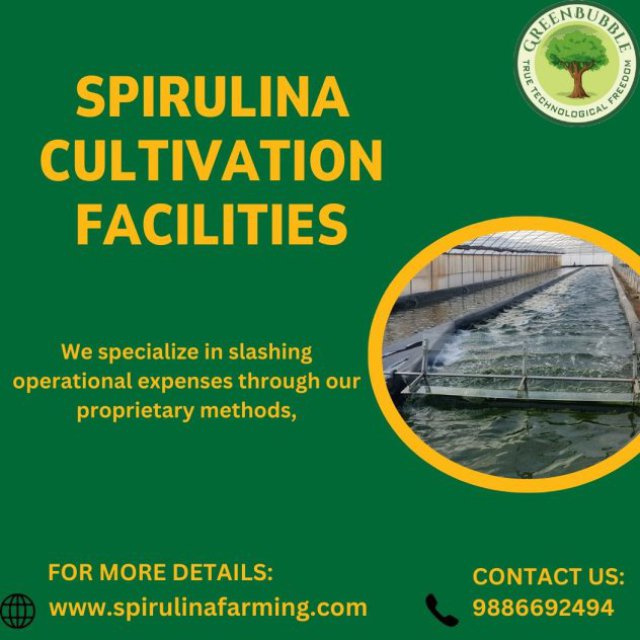 Elements Of Successful Large-Scale Spirulina Farming - Blog