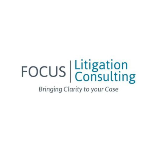 Focus Litigation Consulting LLC