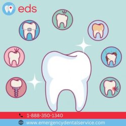 Emergency Dental in Taylor MI 48180 - Emergency Dental Service