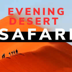 Evening Desert Safari: The Ultimate Evening Desert Safari Adventure