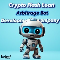 Crypto flash loan arbitrage bot development