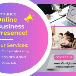 Digital Marketing Freelancer