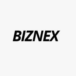 BizneX - Digital Marketing Agency in Borivali, Mumbai