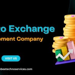 Customized Crypto Exchange Development by Fire Bee Techno Services