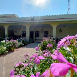 Black Bear Farmhouse - Farmhouse in Jaipur