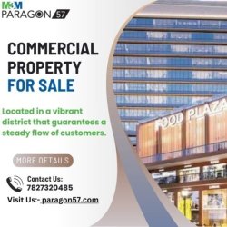 M3M Paragon Commercial Property