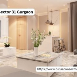 Birla Arika Sector 31 Gurgaon