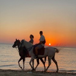 Natadola Beach Horse Riding Tour