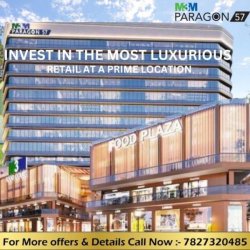 M3M Paragon