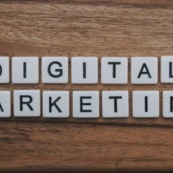 Freelance Digital Marketing Strategist in Palakkad