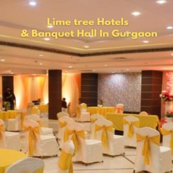 Birthday Party in Gurgaon/ Lime tree hotels