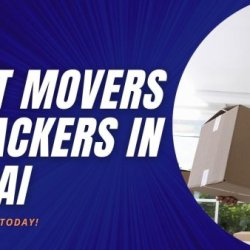 MOVERS AND PACKERS IN DUBAI