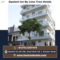 Luxury & Budget Hotels Near Pari Chowk