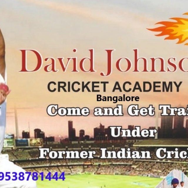 David Johnson Cricket Academy