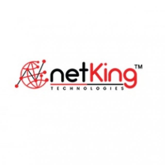 Netking Technologies