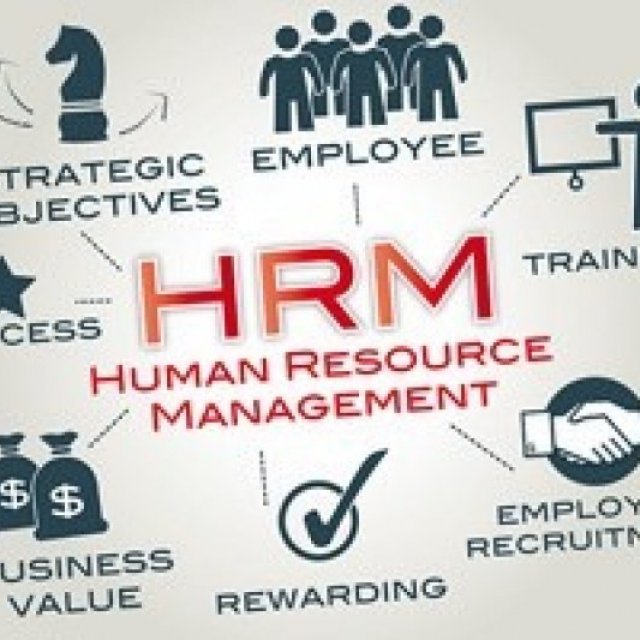 Looking For Hr Management Program