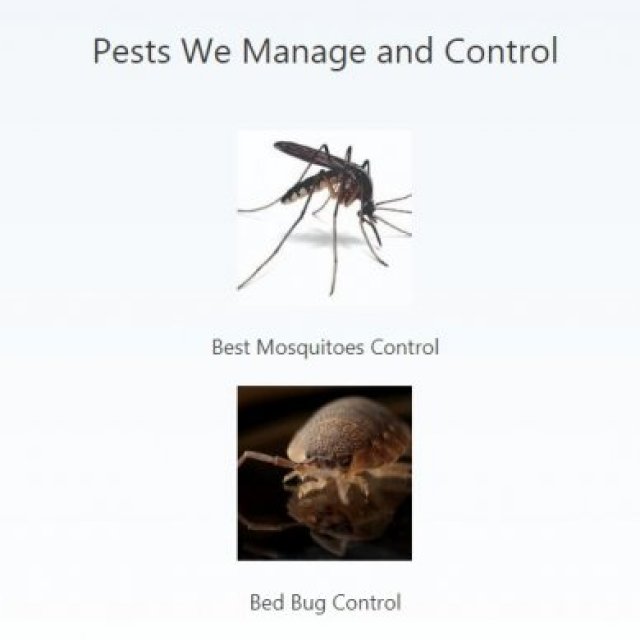 Clear Pest Control