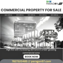 M3M Paragon Brochure PDF