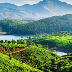Magical Kerala Senior Citizen Group Tour (With Flight)