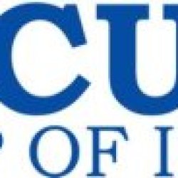 Accurate Institute of Management and Technology